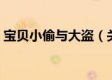 宝贝小偷与大盗（关于宝贝小偷与大盗介绍）