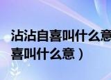 沾沾自喜叫什么意任意妄为叫什么意（沾沾自喜叫什么意）