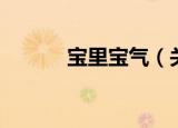 宝里宝气（关于宝里宝气介绍）