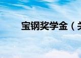 宝钢奖学金（关于宝钢奖学金介绍）