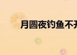 月圆夜钓鱼不开口的原因（月圆夜）