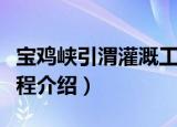 宝鸡峡引渭灌溉工程（关于宝鸡峡引渭灌溉工程介绍）