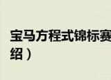 宝马方程式锦标赛（关于宝马方程式锦标赛介绍）