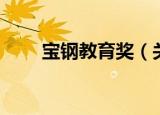 宝钢教育奖（关于宝钢教育奖介绍）