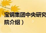 宝钢集团中央研究院（关于宝钢集团中央研究院介绍）