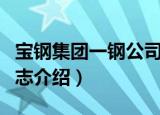 宝钢集团一钢公司志（关于宝钢集团一钢公司志介绍）