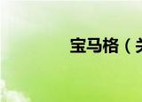 宝马格（关于宝马格介绍）