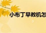 小布丁早教机怎么用（小布丁早教机）