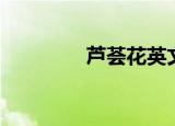 芦荟花英文（芦荟的英文）