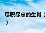 尽职尽忠的生肖（尽心尽力尽忠职是什么生肖）