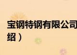 宝钢特钢有限公司（关于宝钢特钢有限公司介绍）