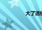 大了透机选（大了透）