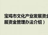 宝鸡市文化产业发展资金管理办法（关于宝鸡市文化产业发展资金管理办法介绍）