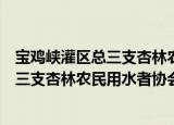 宝鸡峡灌区总三支杏林农民用水者协会（关于宝鸡峡灌区总三支杏林农民用水者协会介绍）