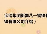 宝钢集团新疆八一钢铁有限公司（关于宝钢集团新疆八一钢铁有限公司介绍）