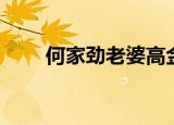 何家劲老婆高金素梅（何家劲老婆）