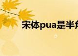 宋体pua是半角宋体吗（宋体pua）