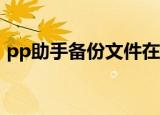 pp助手备份文件在哪里（pp助手备份shsh）