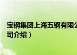 宝钢集团上海五钢有限公司（关于宝钢集团上海五钢有限公司介绍）
