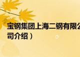 宝钢集团上海二钢有限公司（关于宝钢集团上海二钢有限公司介绍）
