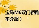 宝马M6双门轿跑车（关于宝马M6双门轿跑车介绍）