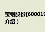 宝钢股份[600019]（关于宝钢股份[600019]介绍）