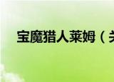 宝魔猎人莱姆（关于宝魔猎人莱姆介绍）