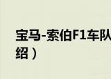 宝马-索伯F1车队（关于宝马-索伯F1车队介绍）