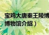 宝鸡大唐秦王陵博物馆（关于宝鸡大唐秦王陵博物馆介绍）