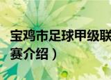 宝鸡市足球甲级联赛（关于宝鸡市足球甲级联赛介绍）