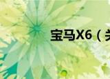 宝马X6（关于宝马X6介绍）