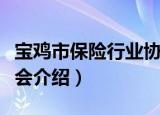 宝鸡市保险行业协会（关于宝鸡市保险行业协会介绍）