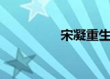 宋凝重生的小说（宋凝）