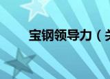 宝钢领导力（关于宝钢领导力介绍）