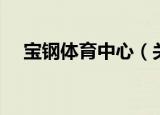 宝钢体育中心（关于宝钢体育中心介绍）