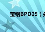 宝钢BPD25（关于宝钢BPD25介绍）