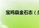 宝鸡县金石志（关于宝鸡县金石志介绍）