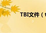 TBI文件（tbi文件怎么打开）