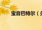 宝音巴特尔（关于宝音巴特尔介绍）