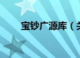 宝钞广源库（关于宝钞广源库介绍）