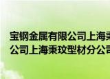 宝钢金属有限公司上海秉玟型材分公司（关于宝钢金属有限公司上海秉玟型材分公司介绍）