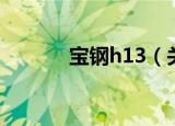 宝钢h13（关于宝钢h13介绍）