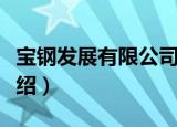 宝钢发展有限公司（关于宝钢发展有限公司介绍）