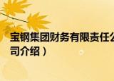 宝钢集团财务有限责任公司（关于宝钢集团财务有限责任公司介绍）