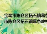 宝鸡市陈仓区拓石镇葛条岭村扶贫互助资金协会（关于宝鸡市陈仓区拓石镇葛条岭村扶贫互助资金协会介绍）