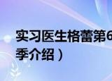 实习医生格蕾第6季（关于实习医生格蕾第6季介绍）