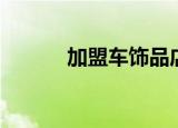 加盟车饰品店（汽车饰品加盟）