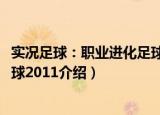 实况足球：职业进化足球2011（关于实况足球：职业进化足球2011介绍）