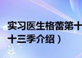 实习医生格蕾第十三季（关于实习医生格蕾第十三季介绍）