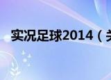 实况足球2014（关于实况足球2014介绍）